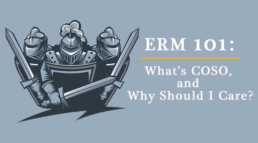 201907-ERM-101-COSO-900x500